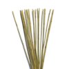 bambusova oporna tycka na rastliny plantizia Plantizia.cz