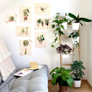 botanicka ilustracia 2 wearewind plantizia Plantizia.cz