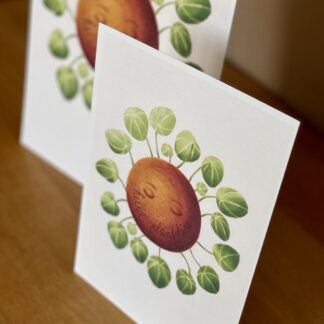 Botanická ilustrace Hello plantshine! botanicka ilustracia hello plantshine 4 wearewind plantizia Plantizia.cz