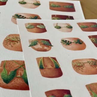 Botanická ilustrace Letní kolekce plavek botanicka ilustracia letna kolekcia plaviek 4 wearewind plantizia Plantizia.cz