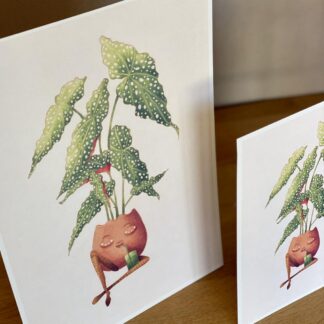 Botanická ilustrace Žíznivá begónie botanicka ilustracia smadna begonia 3 wearewind plantizia Plantizia.cz