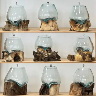 akvarium na dreve na rasokoule