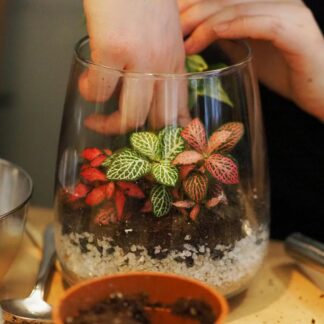 Workshop výroby rostlinného terária workshop výroby rostlinného teraria diy rostlinné terarium florarium