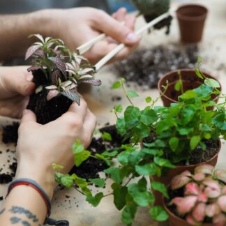 Workshop výroby rostlinného terária workshop výroby rostlinného teraria diy rostlinné terarium florarium
