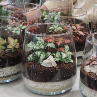 Workshop výroby rostlinného terária workshop výroby rostlinného teraria diy rostlinné terarium florarium