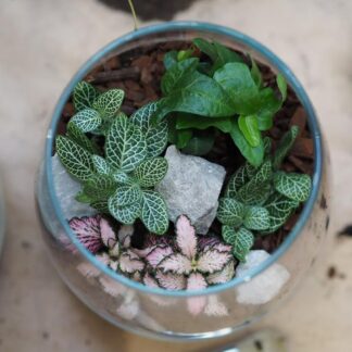 Workshop výroby rostlinného terária workshop výroby rostlinného teraria diy rostlinné terarium florarium