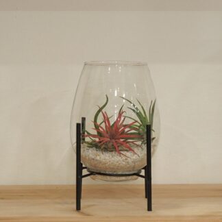 Aranžmá s tillandsiami ve váze na stojanu aranzman s tillandsiami ve váze na podstavci