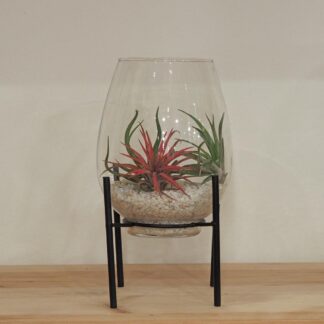 Aranžmá s tillandsiami ve váze na stojanu aranzman s tillandsiami ve váze na podstavci