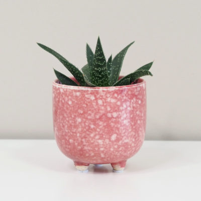 dekorační keramický crepník růžový plantize