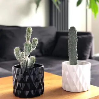 keramicky kvetinac na pokojovky cerny bily leskly