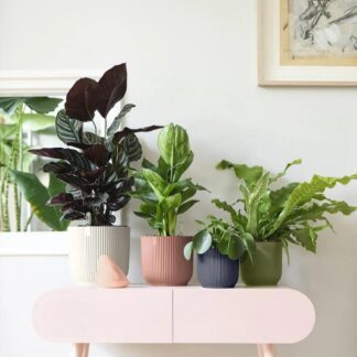 Plastový květináč Premium Stripes zelený plastove kvetinace elho plantizia Plantizia.cz