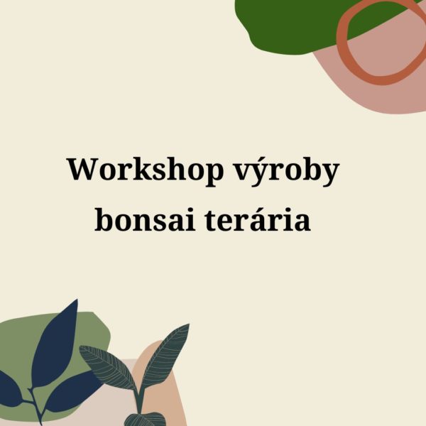 Workshop bonsai terarium plantizia Plantizia.cz