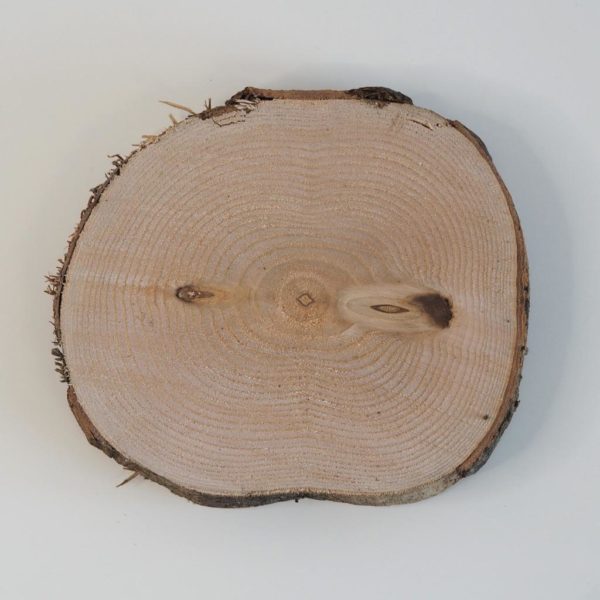 dřevěná podložka s korou táck podnos plat podstavec