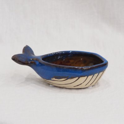 keramická miska velryba modra tacka na tillandsie