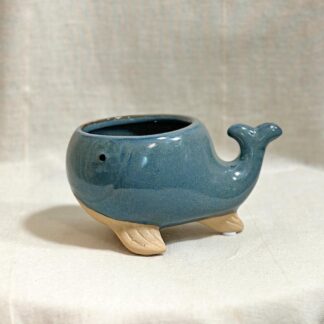 kvetinac zviratko velryba