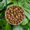 seminka monstera deliciosa semena pokojovych rostlin pokojovek