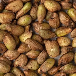 seminka monstera deliciosa semena pokojovych rostlin pokojovek