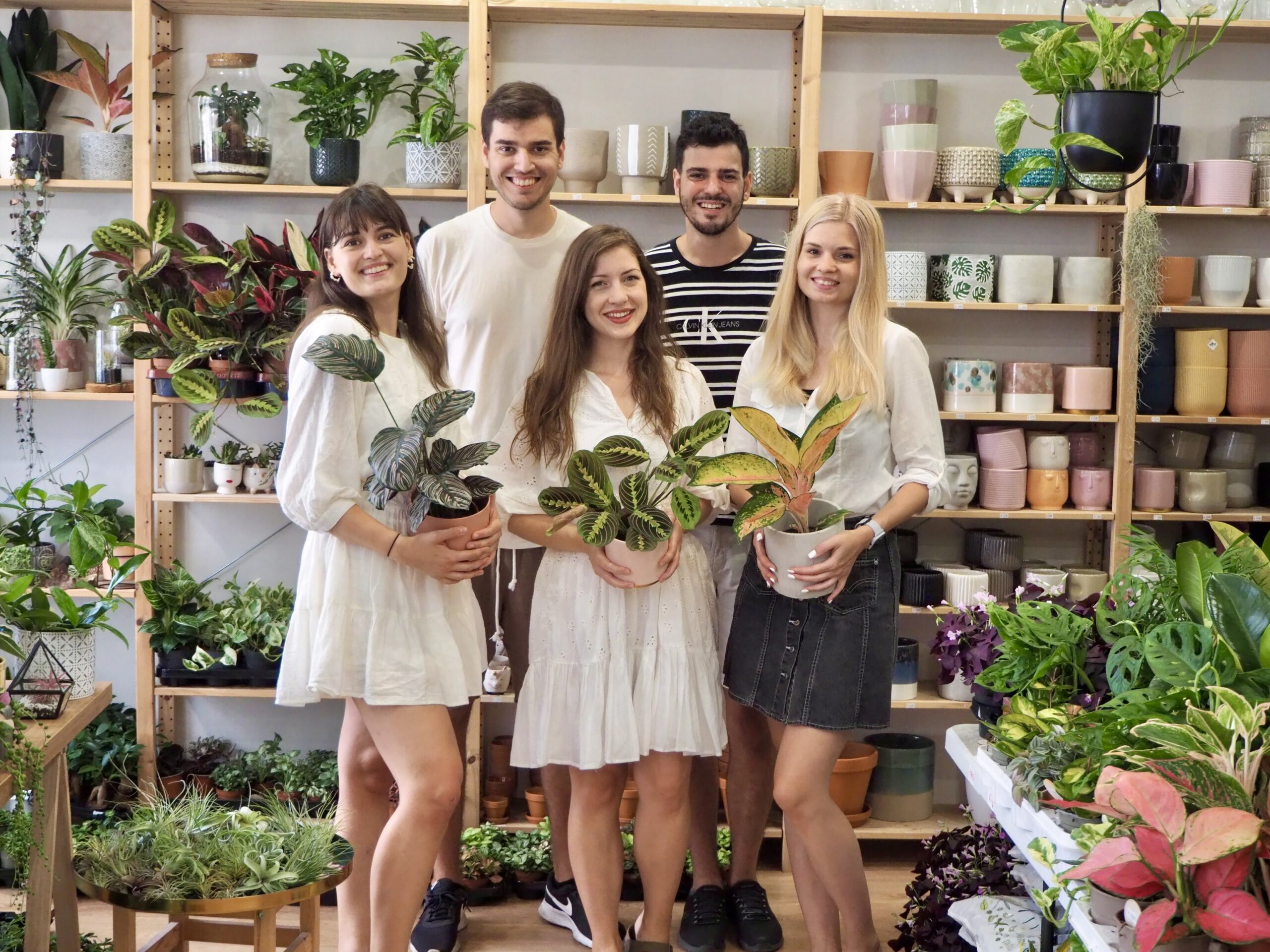 eva varsik matus varsik plantizia team