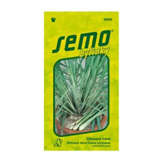 seminka citronova trava semo bylinky ze seminek semena