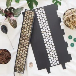 raselinnikova tyc cerna operna tyc pro pokojove rostliny