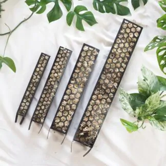 Rašeliníková tyč černá XL (58 cm) raselinnikova tyc cerna operna tyc pro pokojove rostliny