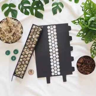 raselinnikova tyc cerna operna tyc pro pokojove rostliny