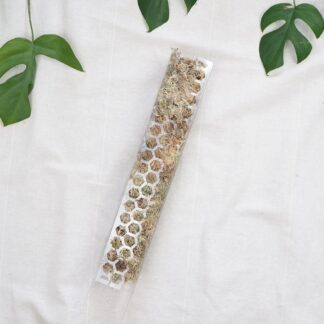 raselinnikova tyc pruhledna operna tyc pro pokojove rostliny