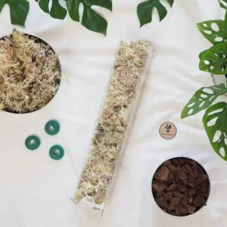 raselinnikova tyc pruhledna operna tyc pro pokojove rostliny