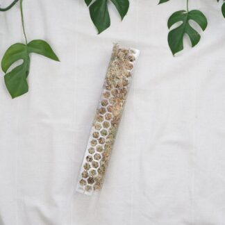 Rašeliníková tyč průhledná M (35 cm) raselinnikova tyc pruhledna operna tyc pro pokojove rostliny