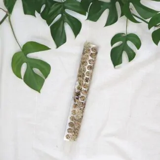 raselinnikova tyc pruhledna operna tyc pro pokojove rostliny