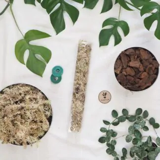 raselinnikova tyc pruhledna operna tyc pro pokojove rostliny