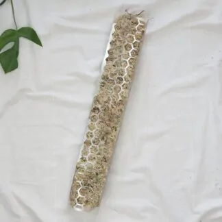 raselinnikova tyc pruhledna operna tyc pro pokojove rostliny