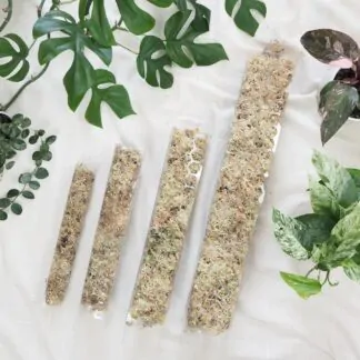 raselinnikova tyc pruhledna operna tyc pro pokojove rostliny