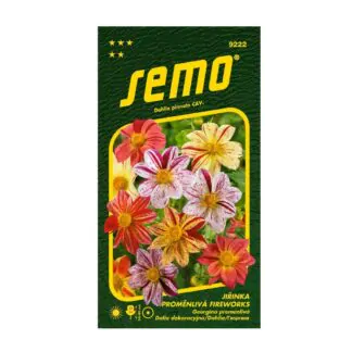 seminka jirinka promenliva ireworks semena kvetin
