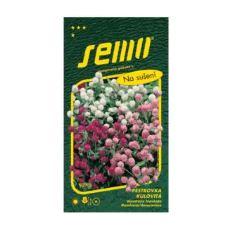 seminka pestrovka kulovita letnicka na suseni semena kvetin semo