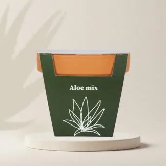 pestitelsky set aloe mix sukulenty ze semen semena pokojovych rostlin