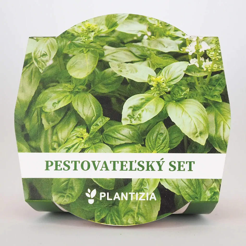 Pěstitelský set Bazalka pravá pestitelsky set bazalka prava ze seminek semena bylinek
