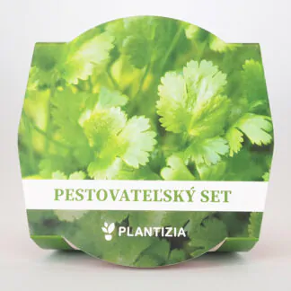 Pěstitelský set Koriandr setý bylinky ze semen seminka rostlin
