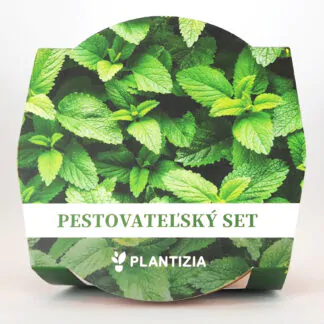 pestitelsky set mata bylinky ze semen seminka bylinek rostlin
