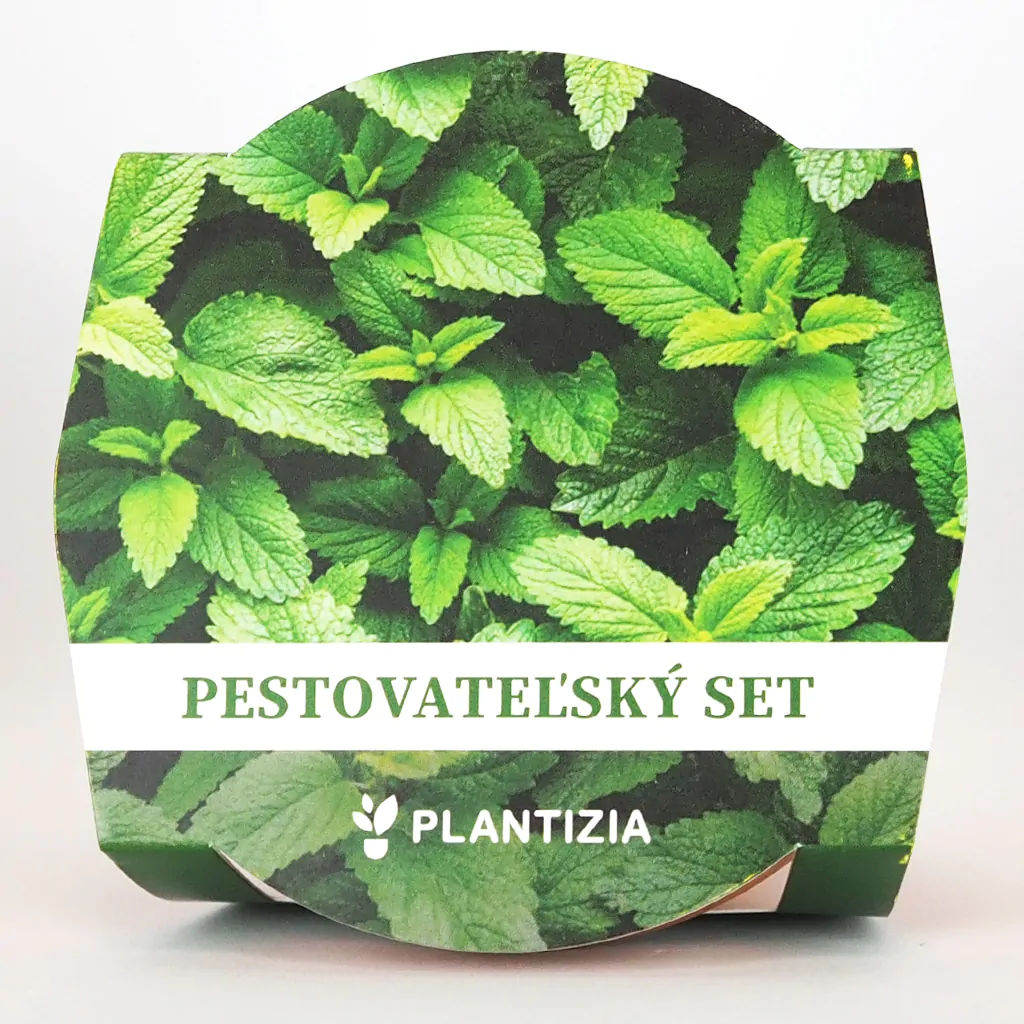 Pěstitelský set Máta pestitelsky set mata bylinky ze semen seminka bylinek rostlin