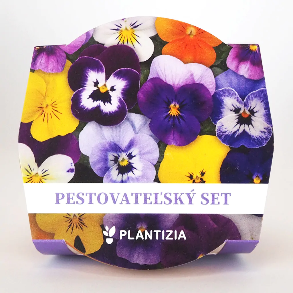 Pěstitelský set Miniviolky Jedlé květy pestitelsky set seminka miniviolky jedle kvety ze semen