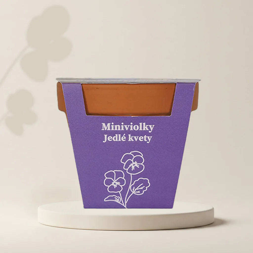 Pěstitelský set Miniviolky Jedlé květy pestitelsky set seminka miniviolky jedle kvety ze semen