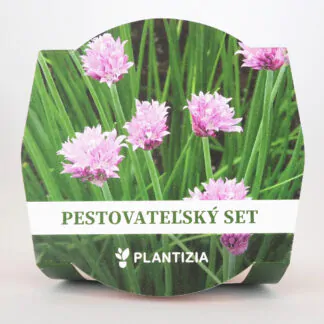 seminka pazitka prava pestitelsky set byliynky ze semen