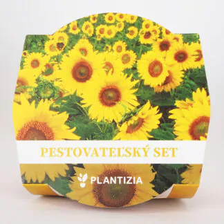 slunecnice pestitelsky set seminka kvety na rez ze seminek