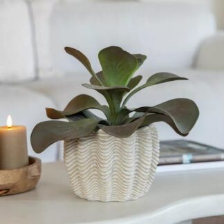 Dekorační květináč White coral dekoracni kvetinac bily coral