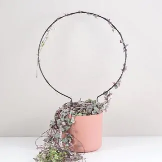 Dekorativní opora pro rostliny kruh velký Dekorativní opora pro rostliny kruh velky kovova tyc ke kytkam opora pro pokojovky