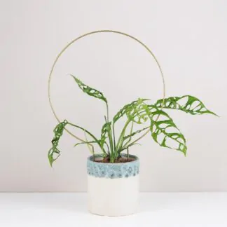 Dekorativní opora pro rostliny kruh velky kovova tyc ke kytkam opora pro pokojovky