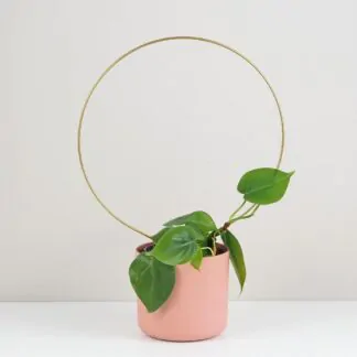 Dekorativní opora pro rostliny kruh velký Dekorativní opora pro rostliny kruh velky kovova tyc ke kytkam opora pro pokojovky