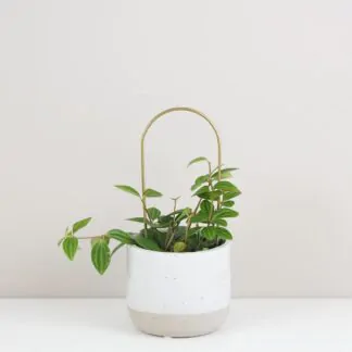 Dekorativní opora pro rostliny oblouk maly kovova tyc ke kytkam opora pro pokojovky