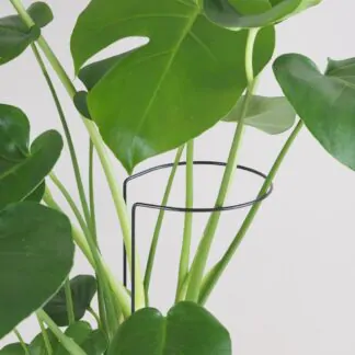Pokojové rostliny, řasokoule a příslušenství Dekorativní opora pro rostliny obruc kovova tyc ke kytkam opora pro pokojovky